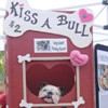 NYC Adopt-apalooza a Doozy!